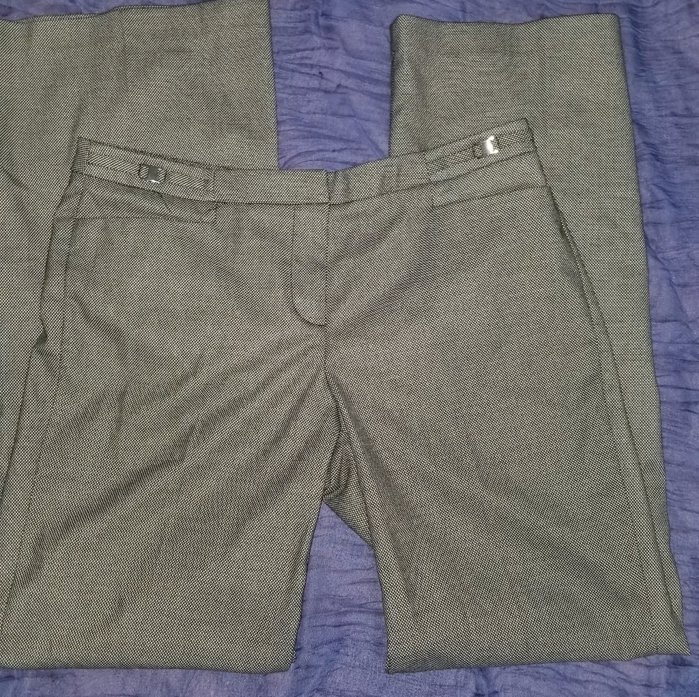 New York &Company dress pants